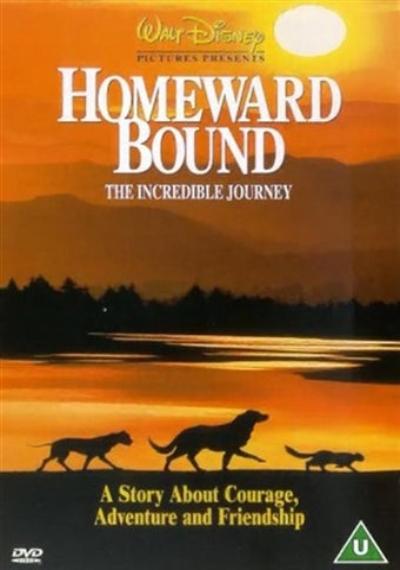 Homeward Bound SHEP DVD