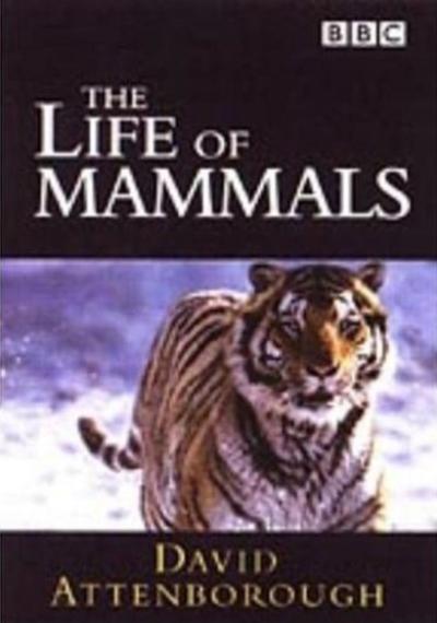 Life of Mammals Used DVD Box Set Pick and Sell the shop for Stay Home Entertainment Packs.!! DVD's Used Boxset