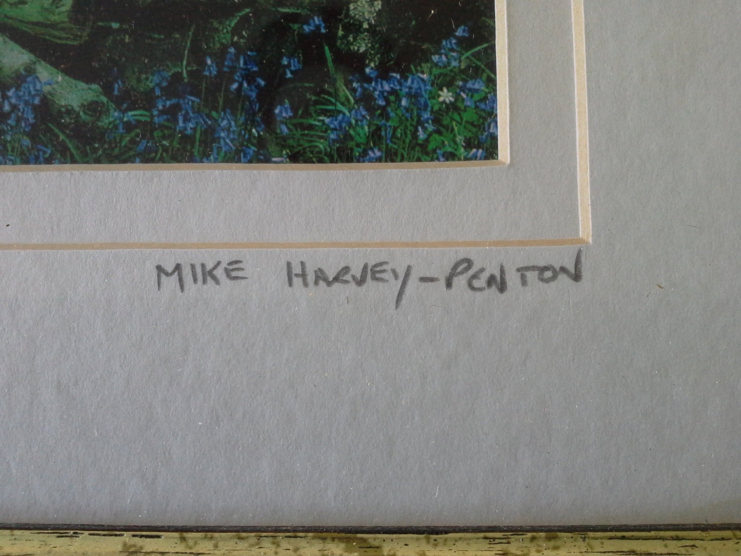Woodland Views and Bluebells by Mike Harvey-Penton 21/200 Pick and Sell the shop for Stay Home Entertainment Packs.!!