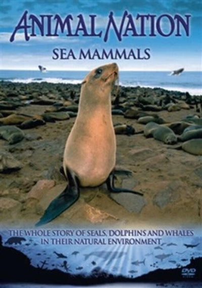 Poster for 'Animal Nation: Sea Mammals' featuring a seal on a rocky beach.