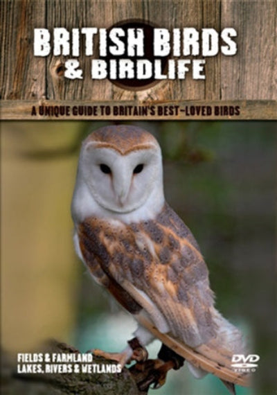 DVD cover of 'British Birds & Birdlife' with an owl on a wooden background