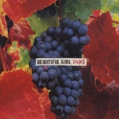 INXS: Beautiful Girl