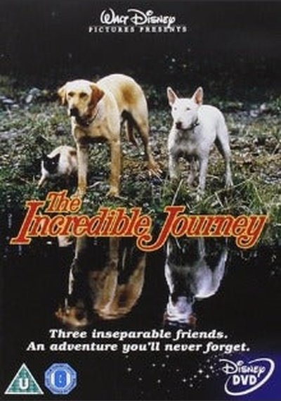 Incredible Journey SHEP DVD Pick and Sell the shop for Stay Home Entertainment Packs.!! SHEP DVD