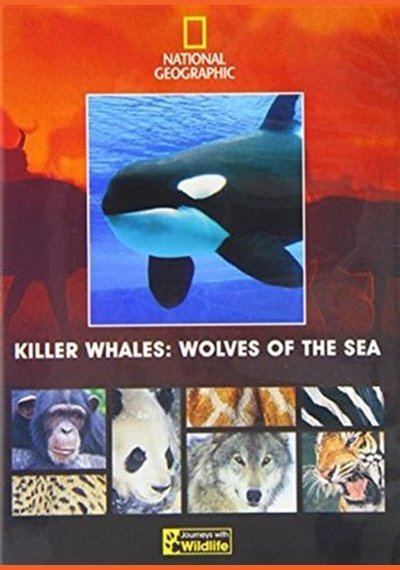 National Geographic: Killer Whales Wolves of the Sea SHEP DVD Pick and Sell the shop for Stay Home Entertainment Packs.!! SHEP DVD