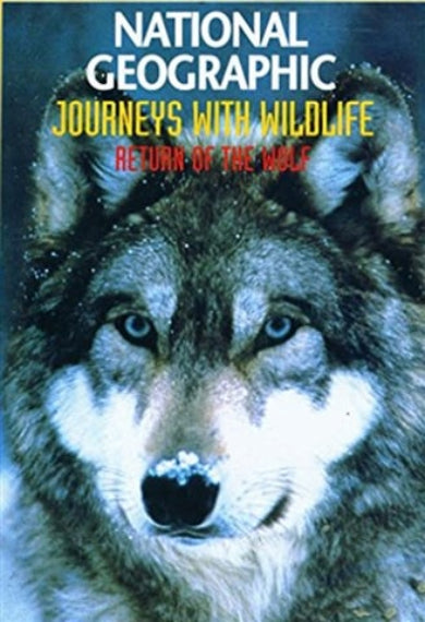 National Geographic: Return Of The Wolf