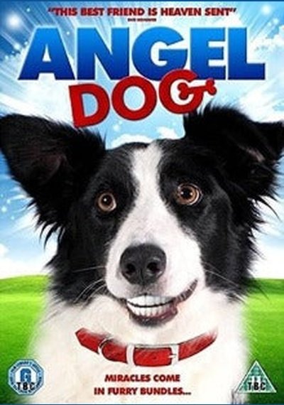 Angel Dog SHEP DVD Pick and Sell the shop for Stay Home Entertainment Packs.!! SHEP DVD