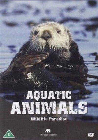 Aquatic Animals SHEP DVD Pick and Sell the shop for Stay Home Entertainment Packs.!! SHEP DVD