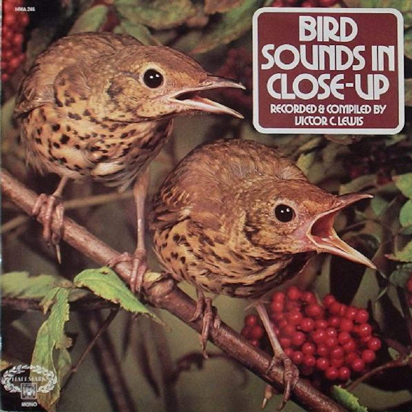 Bird Sounds in Close Up : LP Pick and Sell the shop for Stay Home Entertainment Packs.!! Vinyl 12"