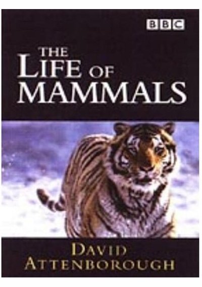 Life of Mammals Used DVD Box Set Pick and Sell the shop for Stay Home Entertainment Packs.!! DVD's Used Boxset