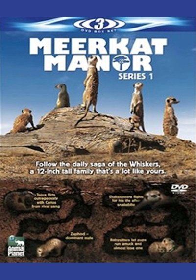 Meerkat Manor Series 1 : Used DVD Pick and Sell the shop for Stay Home Entertainment Packs.!! DVD's Used