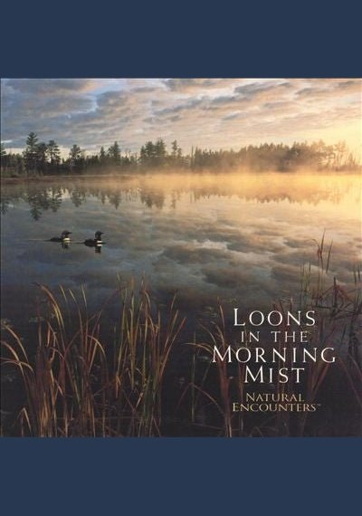 Natural Encounters: Loons in Morning Mist Used CD Pick and Sell the shop for Stay Home Entertainment Packs.!! CD's Used